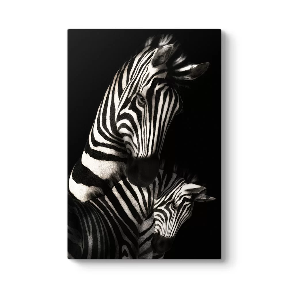 Desenli Zebra Tablosu - Model 2